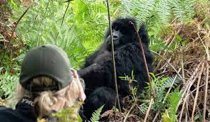 Explore Uganda's National Parks
