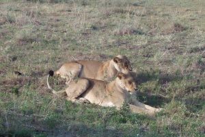 Samburu National Park