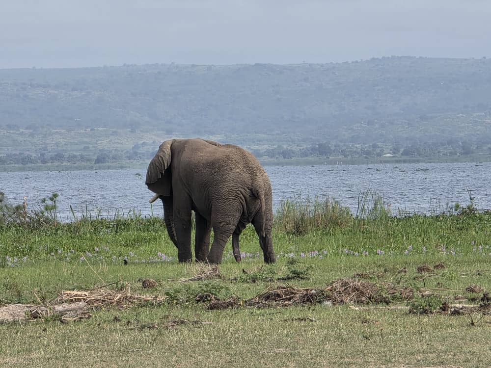 Serengeti National Park Serengeti National Park