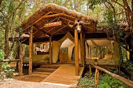 Basecamp Masai Mara